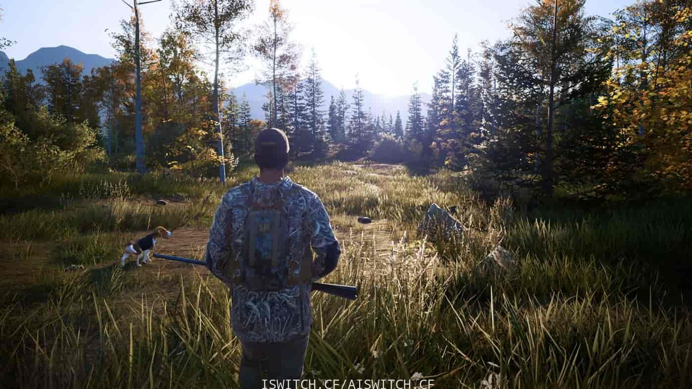 模拟狩猎2/Hunting Simulator 2(v1.0.0.311.66949整合护林员生活DLC)插图跳跳游戏网 模拟狩猎2/Hunting Simulator 2(v1.0.0.311.66949整合护林员生活DLC)插图跳跳游戏网